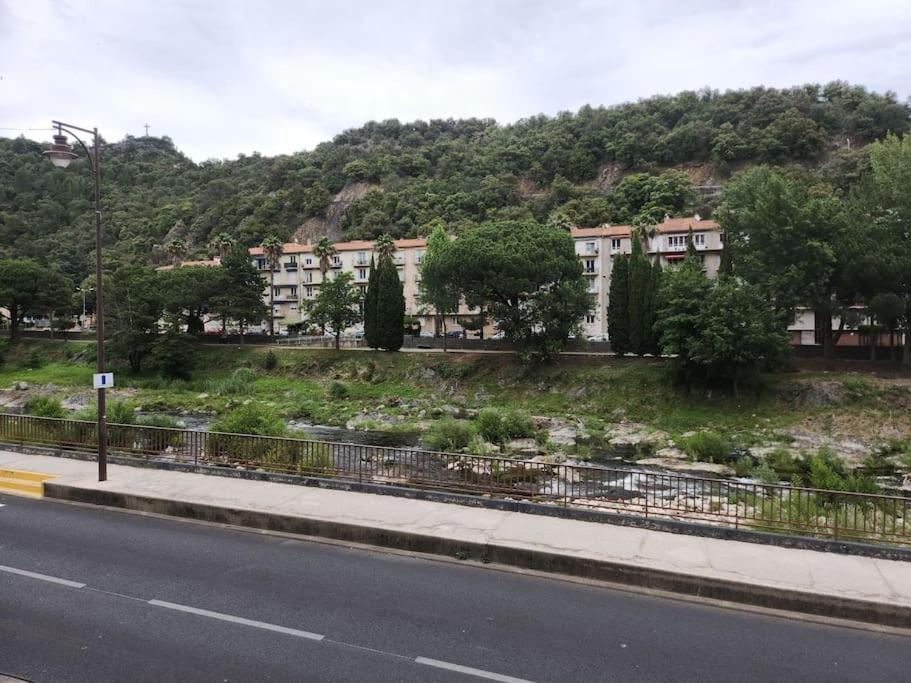Residence Centrale Appartement 3 Pieces Garage Et Jardin Amélie-les-Bains-Palalda المظهر الخارجي الصورة